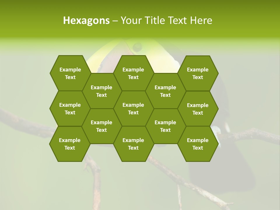 Nicaragua Colorful Chestnut PowerPoint Template