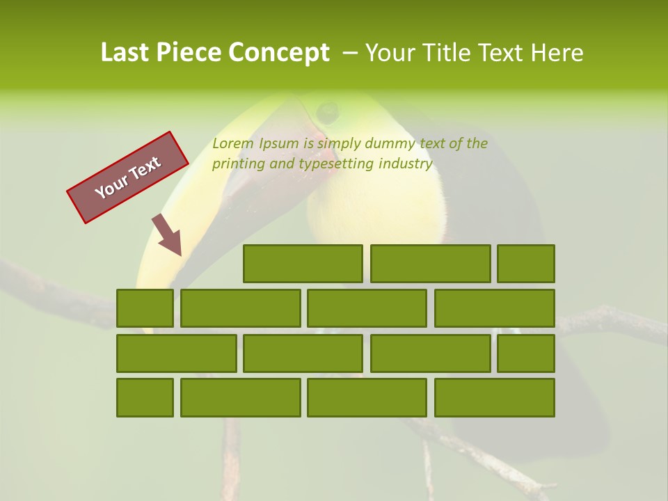 Nicaragua Colorful Chestnut PowerPoint Template