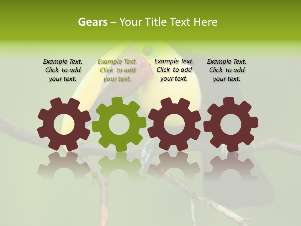 Nicaragua Colorful Chestnut PowerPoint Template