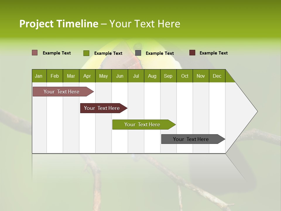 Nicaragua Colorful Chestnut PowerPoint Template