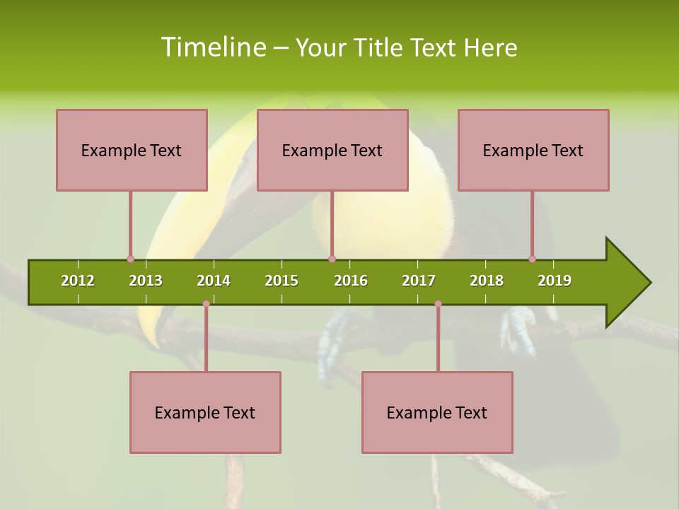 Nicaragua Colorful Chestnut PowerPoint Template