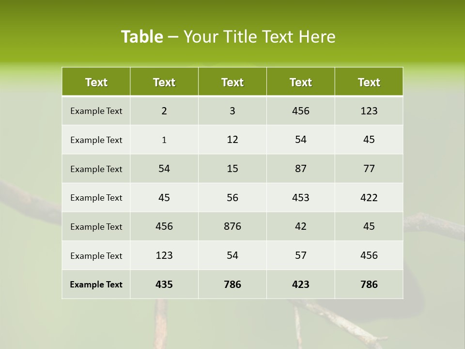 Nicaragua Colorful Chestnut PowerPoint Template