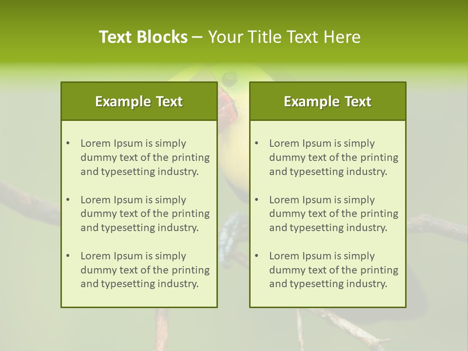 Nicaragua Colorful Chestnut PowerPoint Template