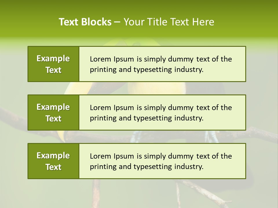 Nicaragua Colorful Chestnut PowerPoint Template