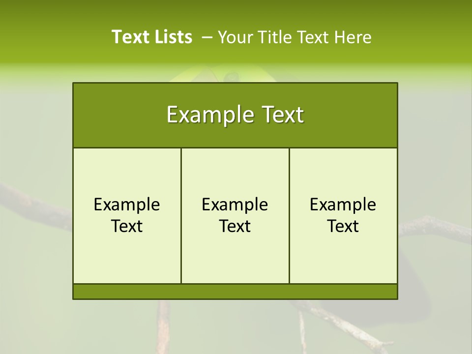 Nicaragua Colorful Chestnut PowerPoint Template