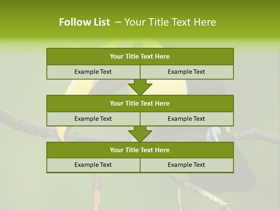 Nicaragua Colorful Chestnut PowerPoint Template