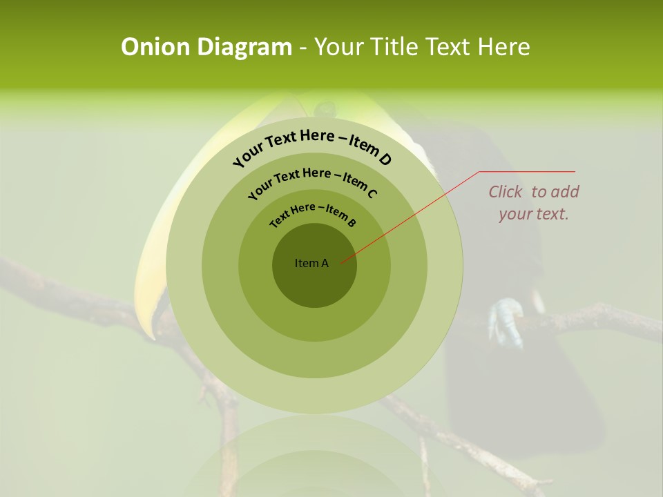 Nicaragua Colorful Chestnut PowerPoint Template