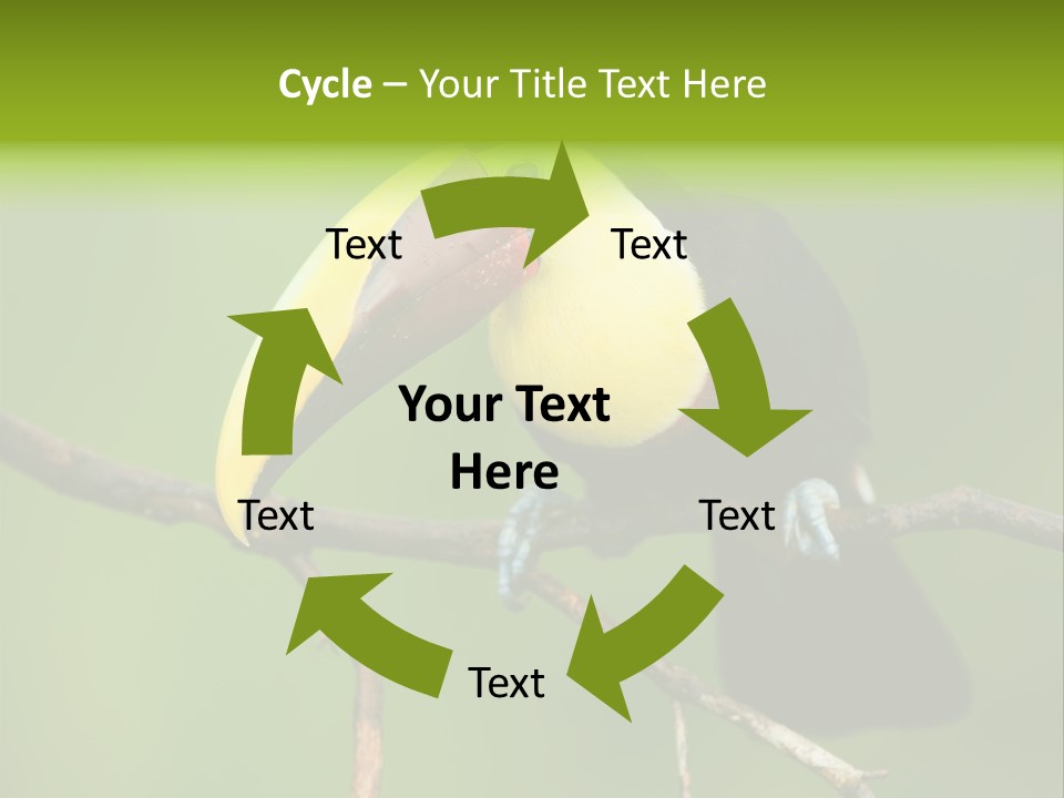 Nicaragua Colorful Chestnut PowerPoint Template