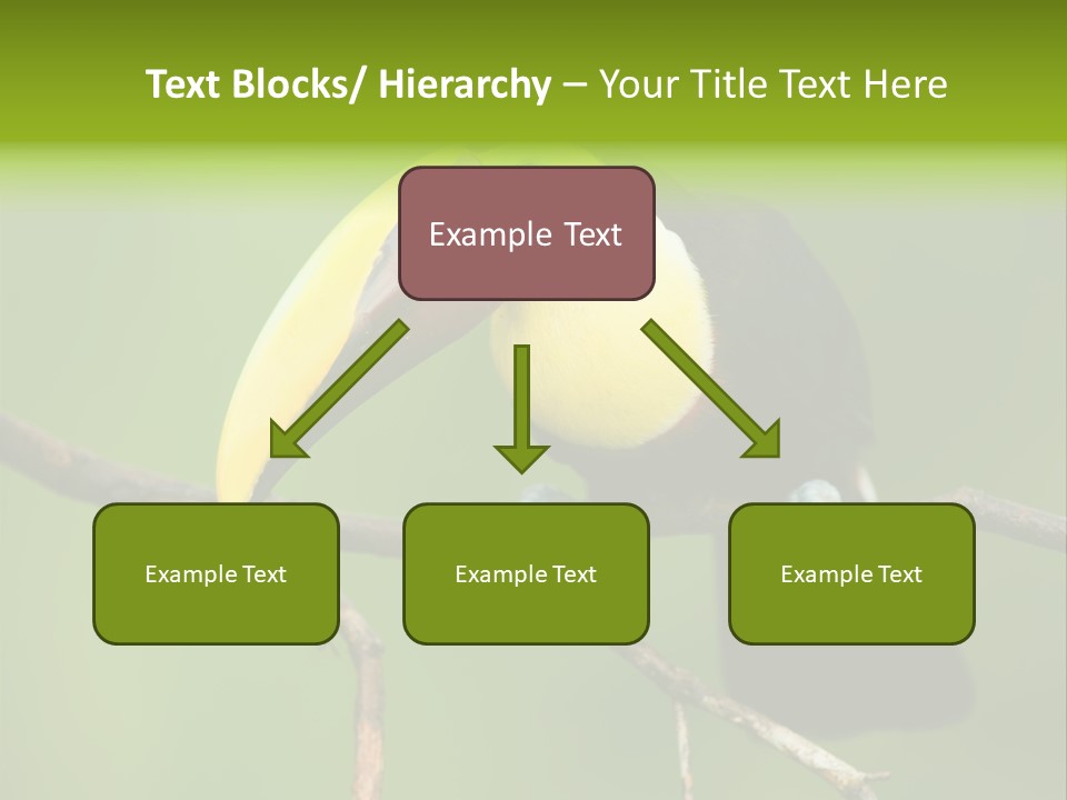 Nicaragua Colorful Chestnut PowerPoint Template