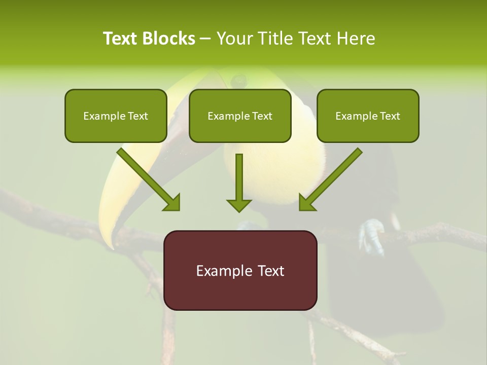 Nicaragua Colorful Chestnut PowerPoint Template