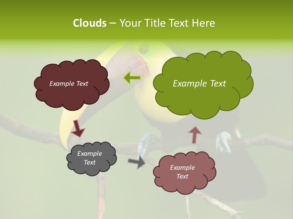 Nicaragua Colorful Chestnut PowerPoint Template