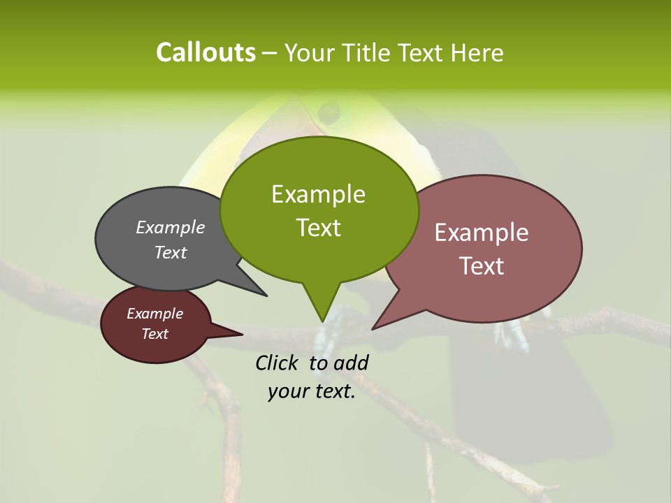 Nicaragua Colorful Chestnut PowerPoint Template