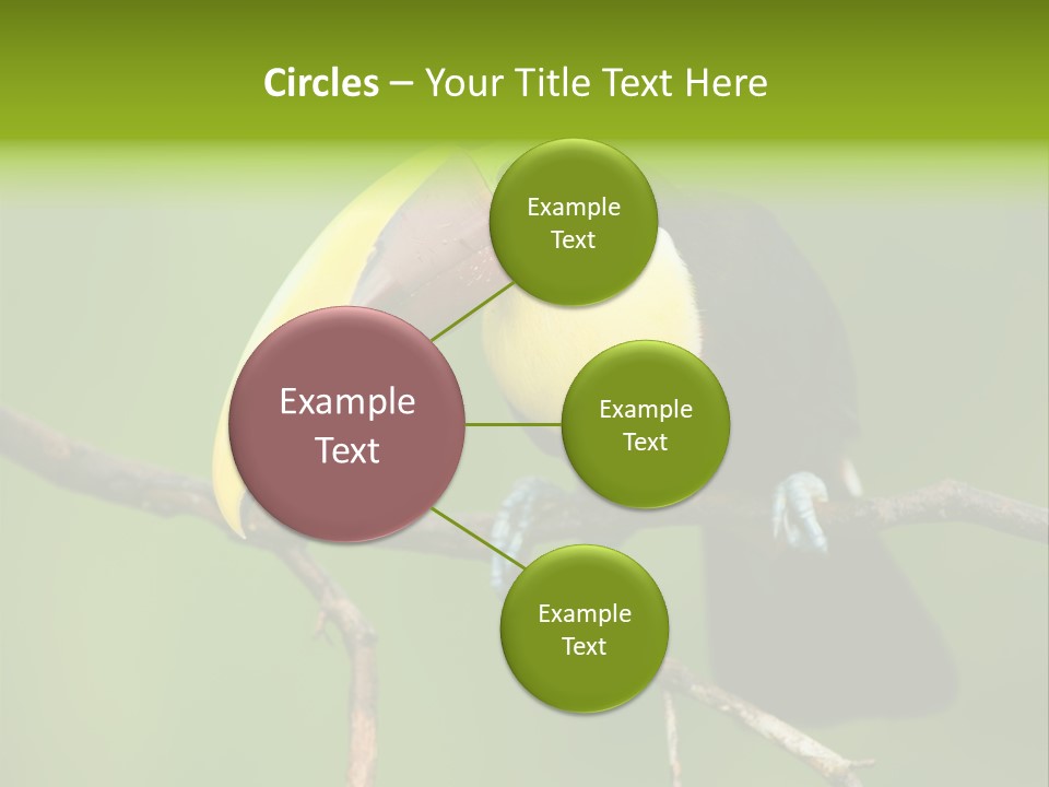 Nicaragua Colorful Chestnut PowerPoint Template