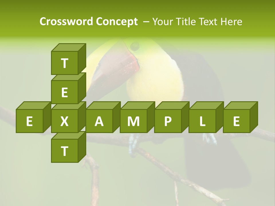 Nicaragua Colorful Chestnut PowerPoint Template