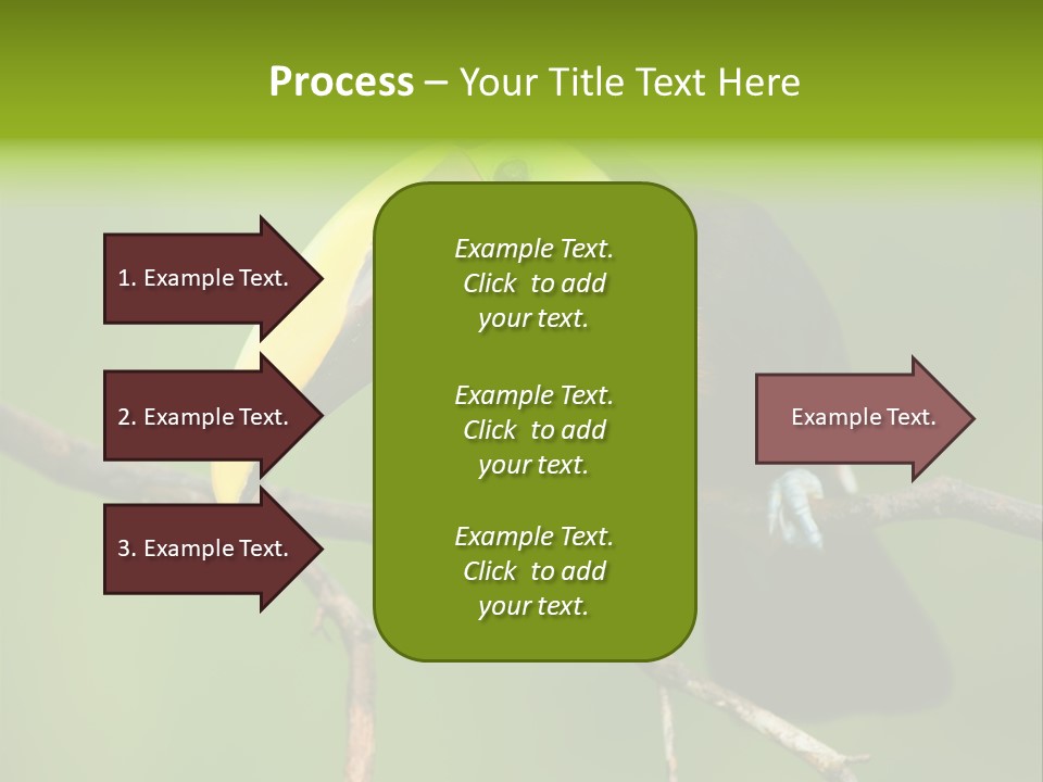 Nicaragua Colorful Chestnut PowerPoint Template