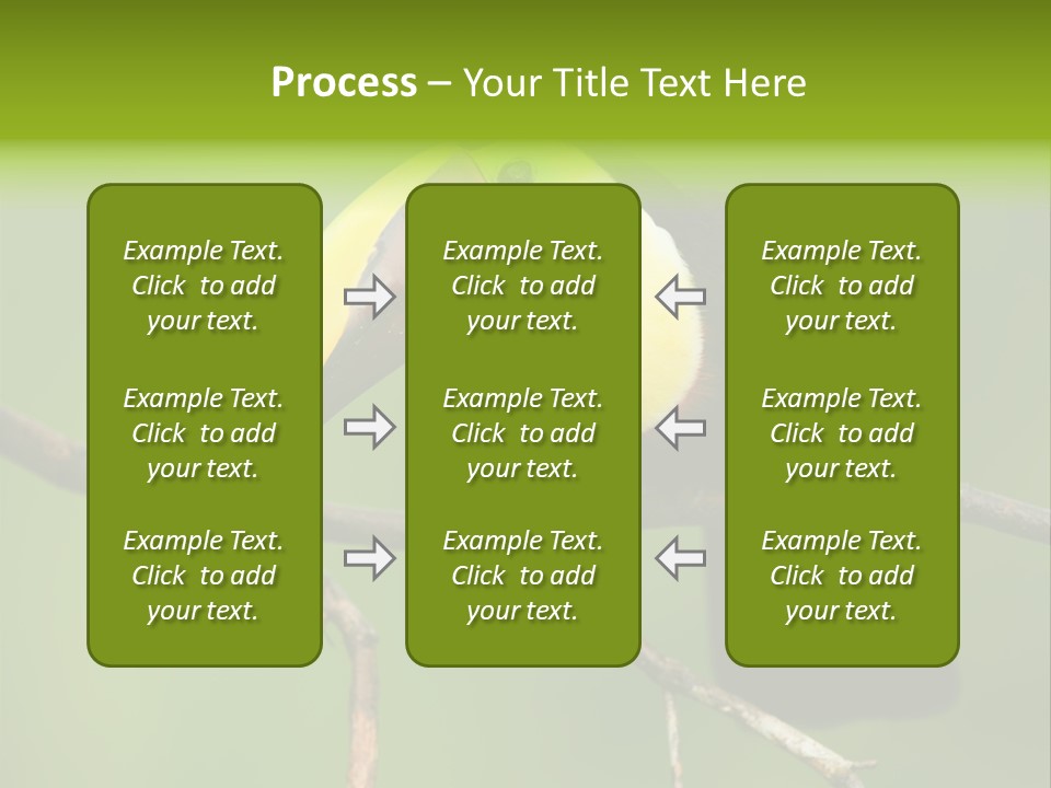 Nicaragua Colorful Chestnut PowerPoint Template