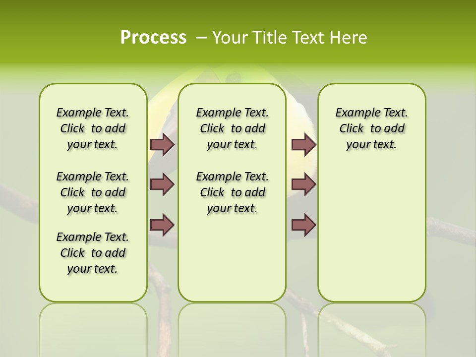 Nicaragua Colorful Chestnut PowerPoint Template