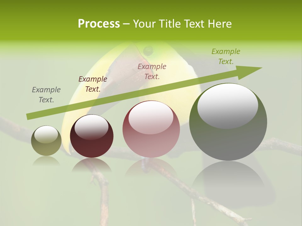 Nicaragua Colorful Chestnut PowerPoint Template