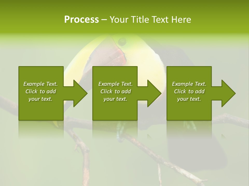 Nicaragua Colorful Chestnut PowerPoint Template