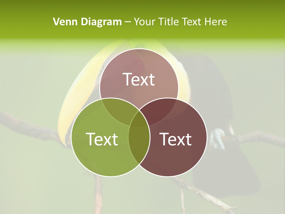 Nicaragua Colorful Chestnut PowerPoint Template