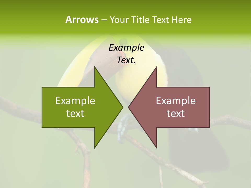 Nicaragua Colorful Chestnut PowerPoint Template