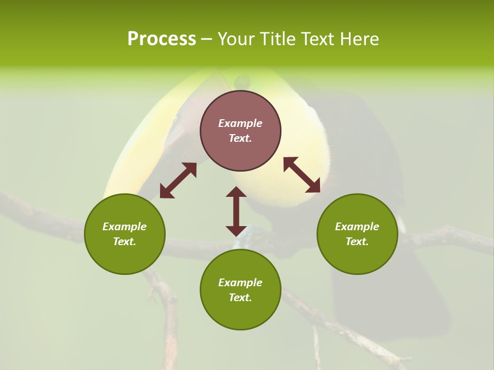 Nicaragua Colorful Chestnut PowerPoint Template