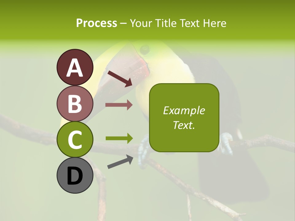 Nicaragua Colorful Chestnut PowerPoint Template