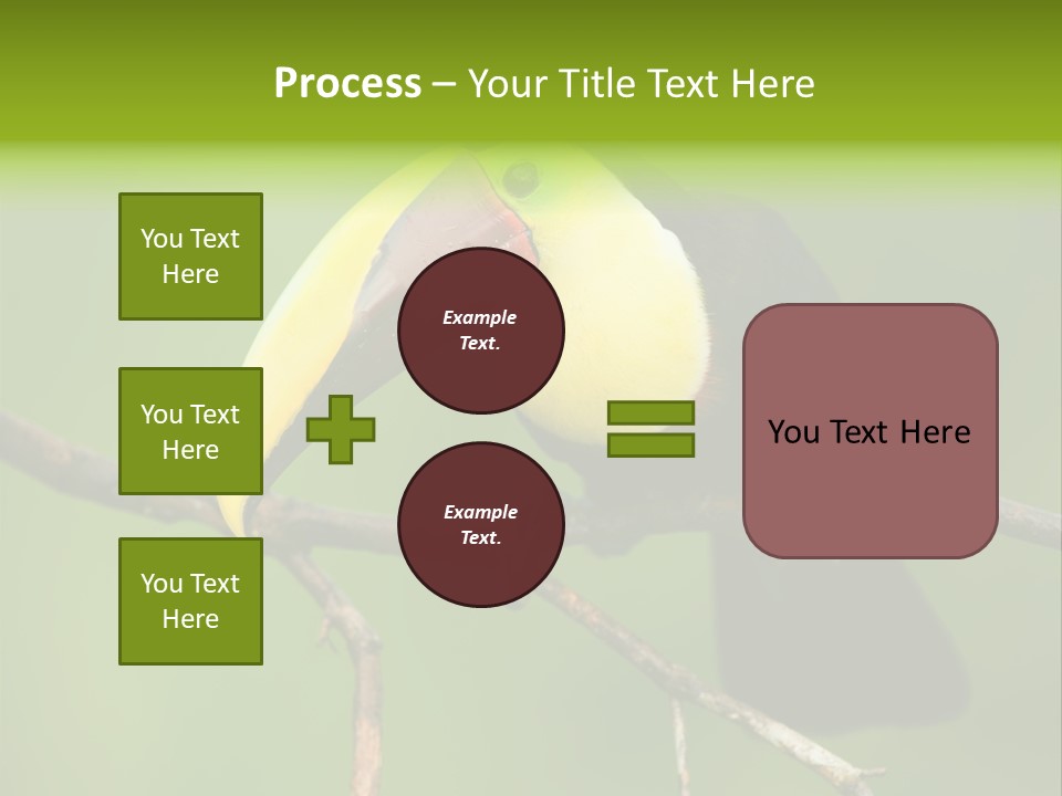 Nicaragua Colorful Chestnut PowerPoint Template
