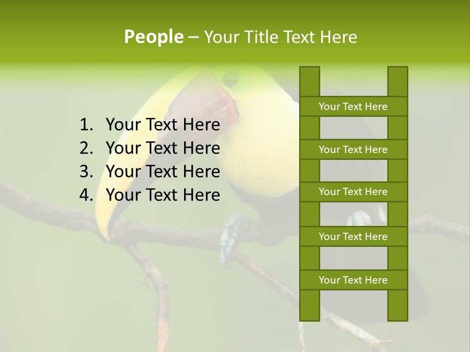 Nicaragua Colorful Chestnut PowerPoint Template