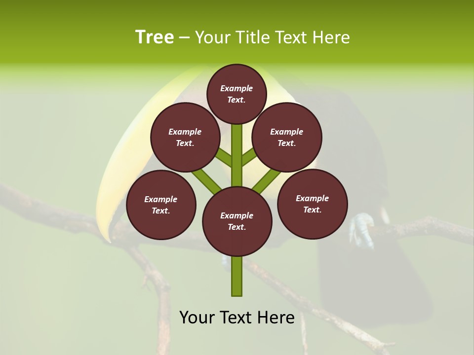 Nicaragua Colorful Chestnut PowerPoint Template