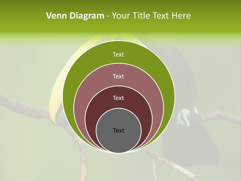 Nicaragua Colorful Chestnut PowerPoint Template