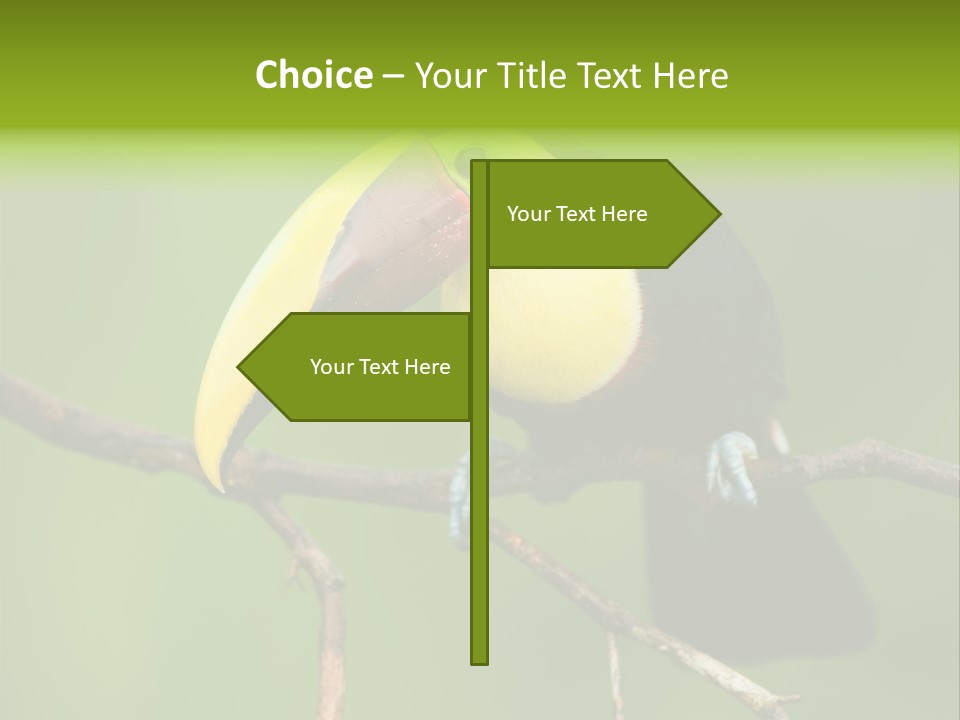 Nicaragua Colorful Chestnut PowerPoint Template