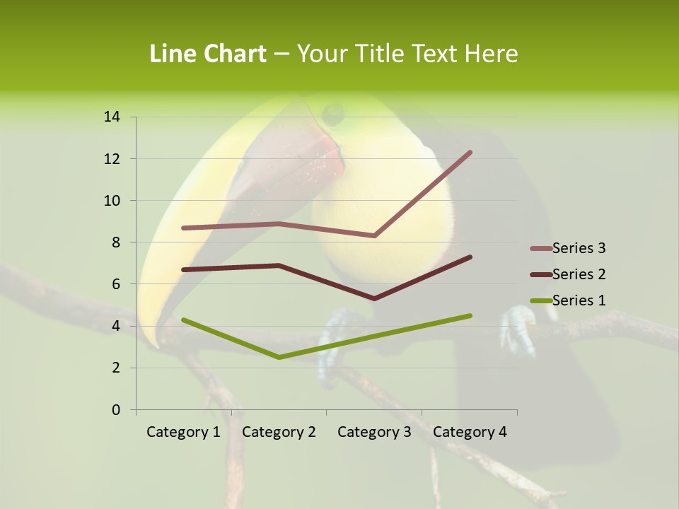 Nicaragua Colorful Chestnut PowerPoint Template