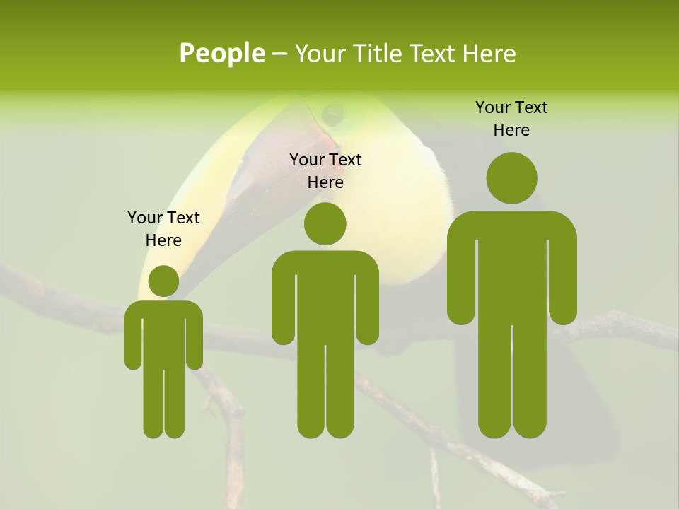 Nicaragua Colorful Chestnut PowerPoint Template