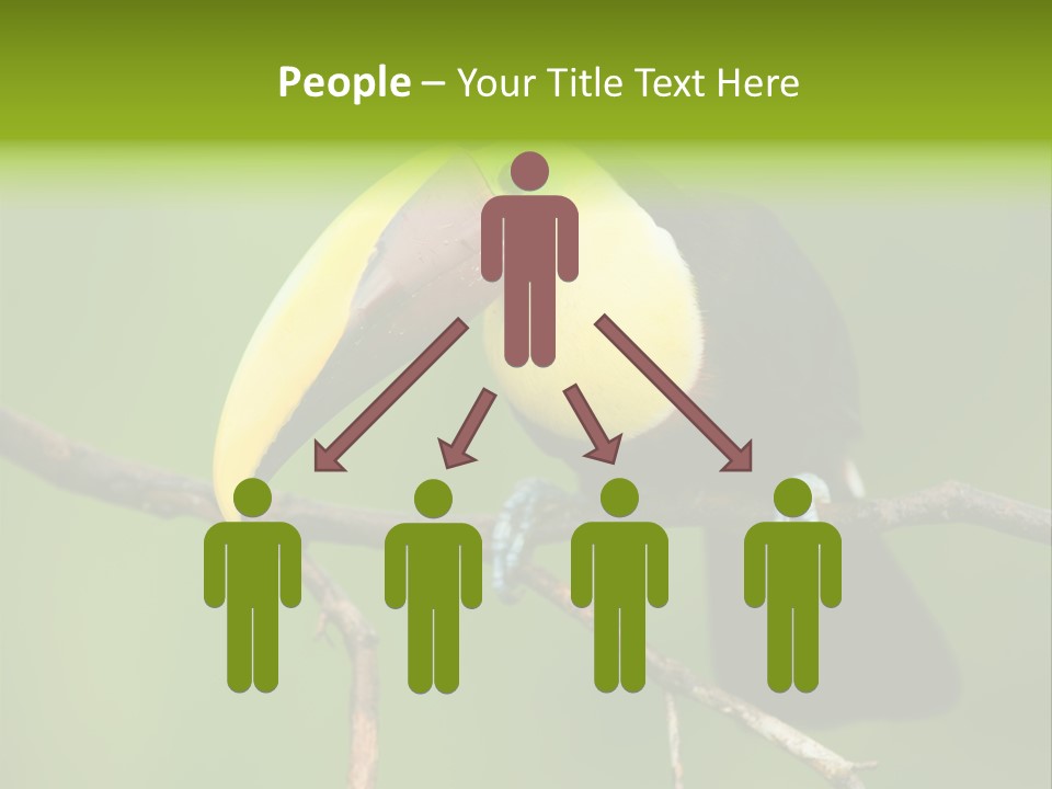 Nicaragua Colorful Chestnut PowerPoint Template