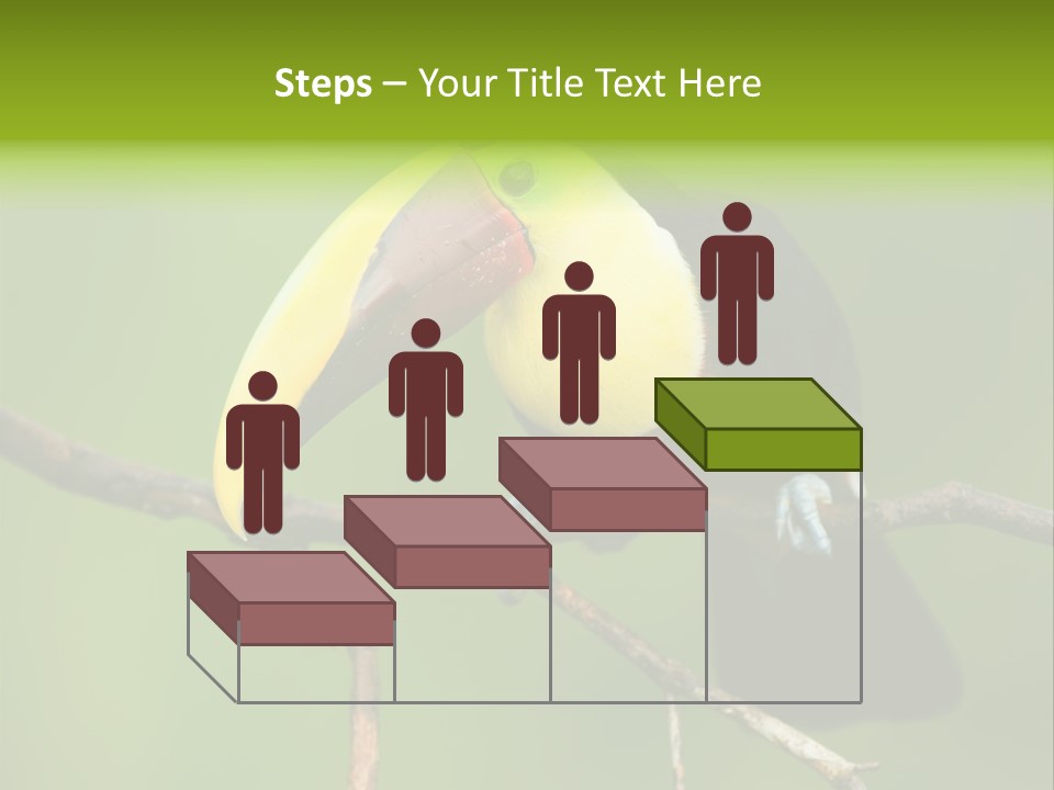 Nicaragua Colorful Chestnut PowerPoint Template