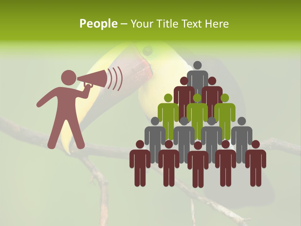 Nicaragua Colorful Chestnut PowerPoint Template