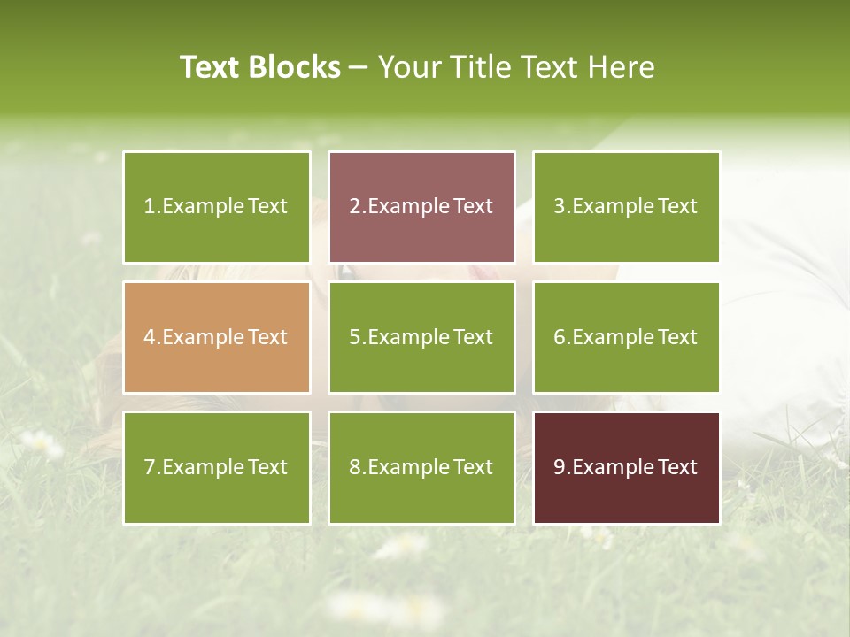 Field Green Leisure PowerPoint Template