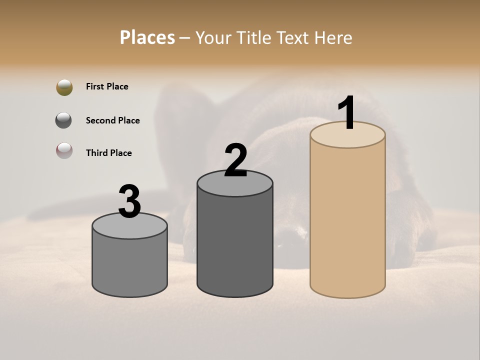 Blocking Cute Comical PowerPoint Template