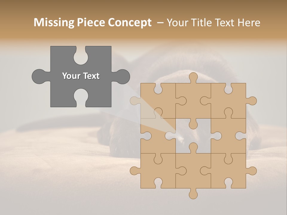 Blocking Cute Comical PowerPoint Template