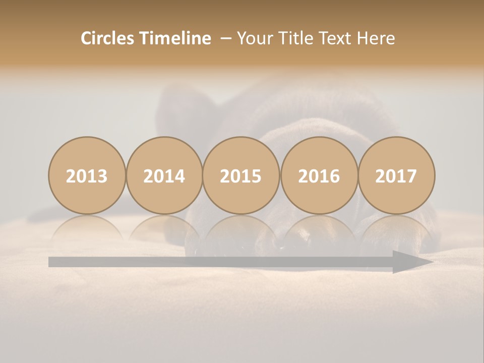 Blocking Cute Comical PowerPoint Template