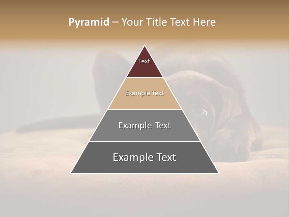 Blocking Cute Comical PowerPoint Template