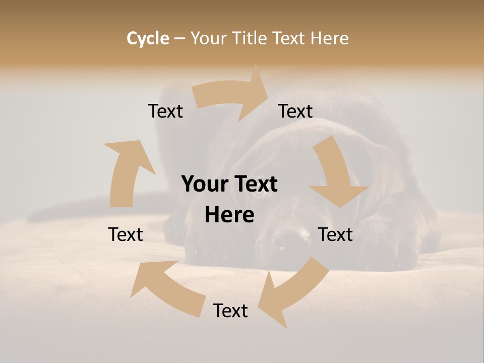 Blocking Cute Comical PowerPoint Template