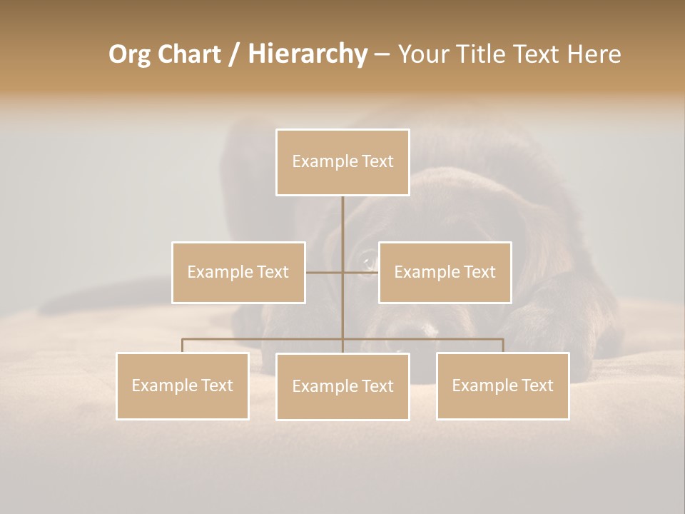 Blocking Cute Comical PowerPoint Template