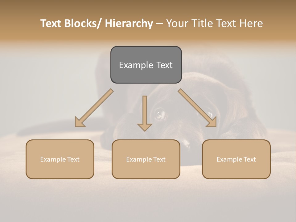 Blocking Cute Comical PowerPoint Template