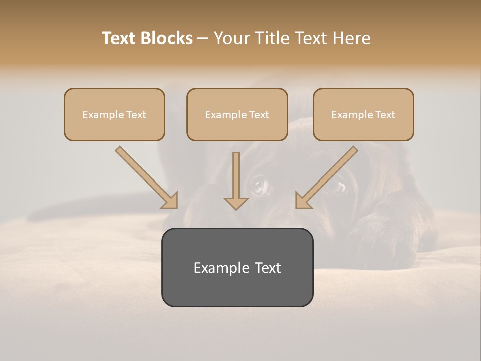 Blocking Cute Comical PowerPoint Template