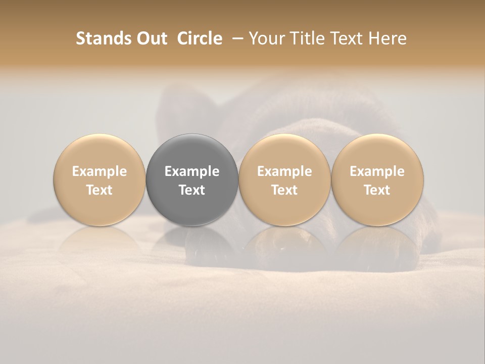 Blocking Cute Comical PowerPoint Template