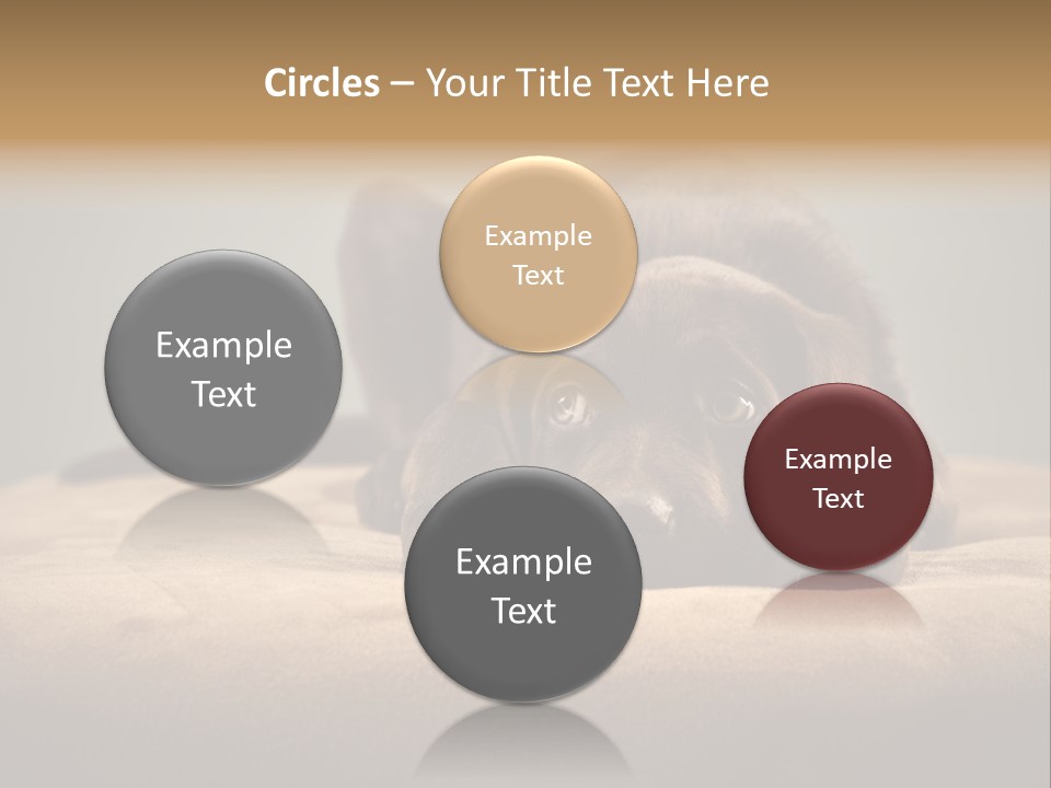 Blocking Cute Comical PowerPoint Template