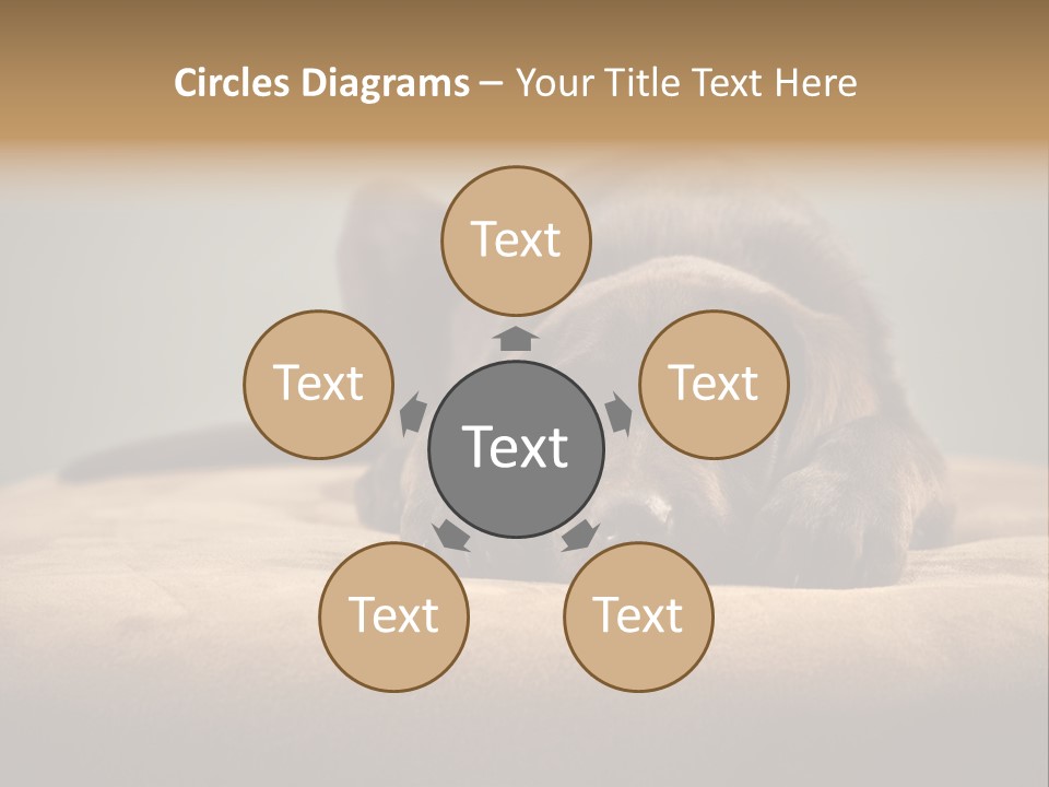 Blocking Cute Comical PowerPoint Template