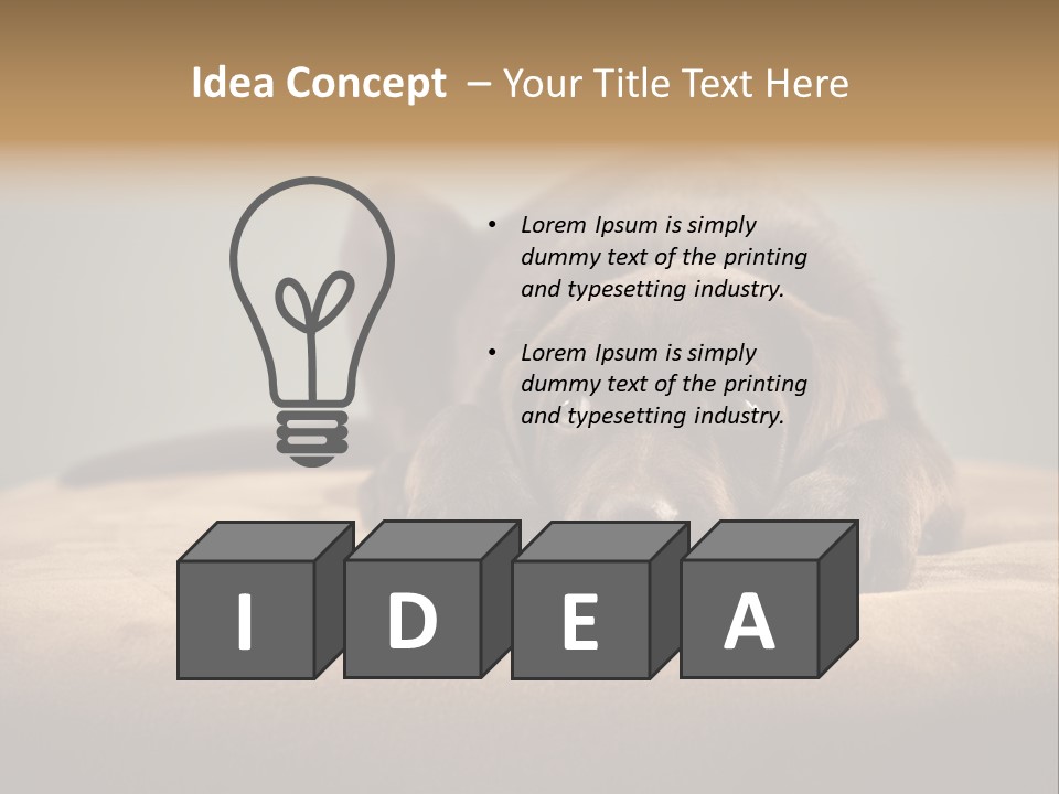 Blocking Cute Comical PowerPoint Template